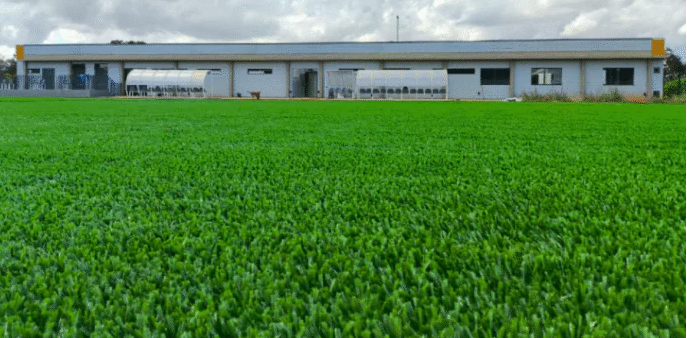 Captura de tela 2026 01 20 223559